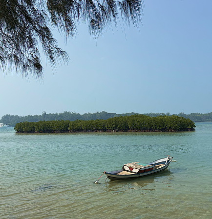 Coastal Assessment